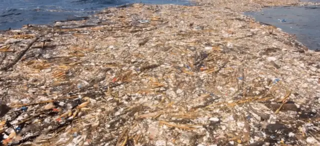 Плавучие острова: использование мусора для очистки загрязненной воды