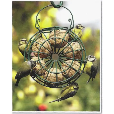 Федерация дикой природы составила рейтинг розничных продавцов экологически чистых изделий из древесины