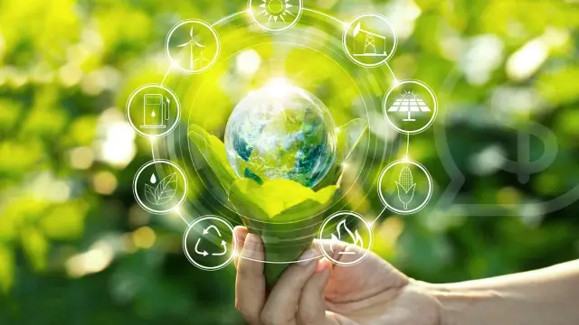 Как ответственное инвестирование может изменить продовольственную систему