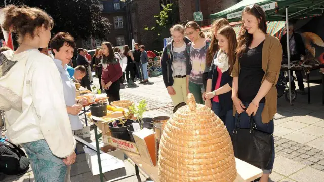 Как продвигать экологические показатели на вашем рынке