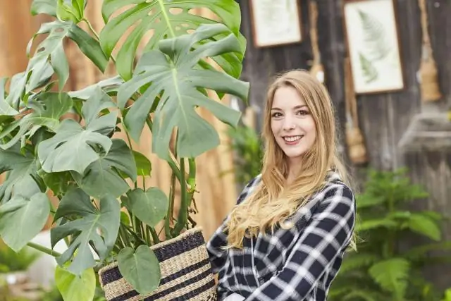 Посадка / запуск в помещении: 3 шага