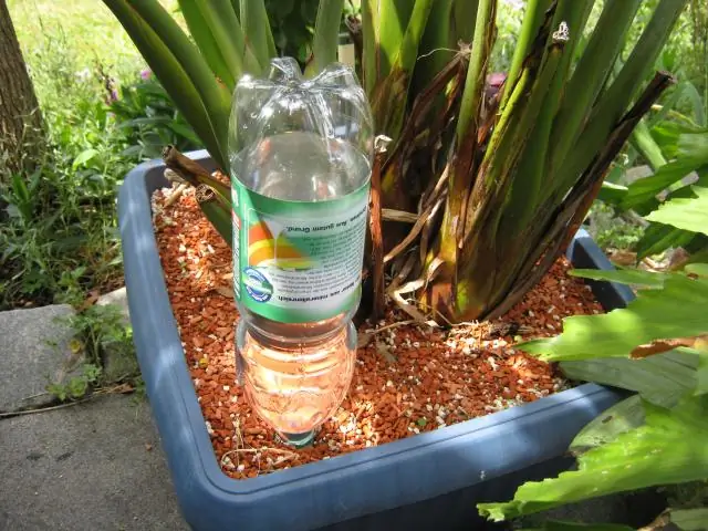 Крылья велосипеда от бутылок с водой и вешалки для одежды: 7 шагов