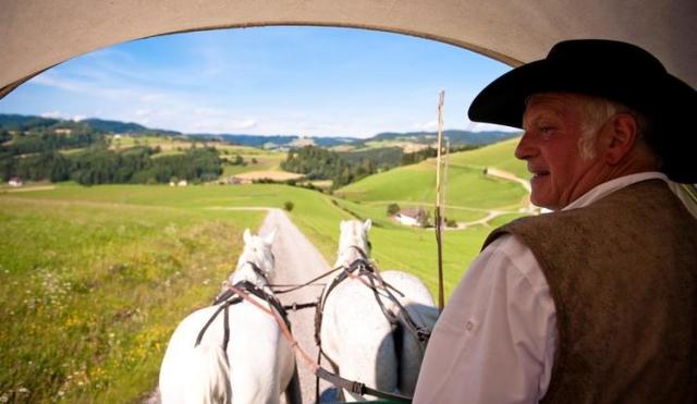 Повышение прибыльности специализированных брендов в третьем квартале