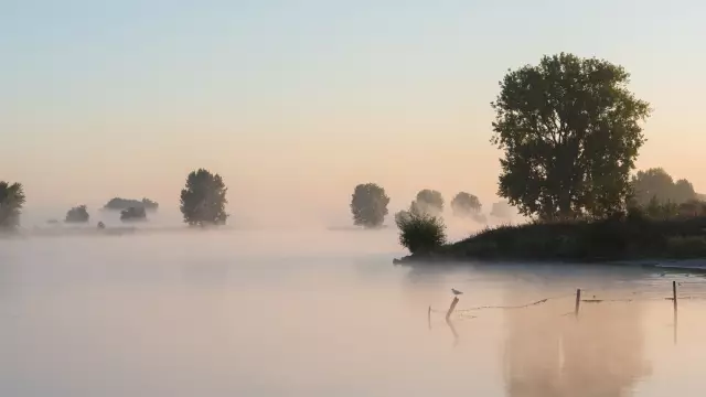 Фотографы, вы пропустили один из этих ЧЕТЫРЕХ шагов?