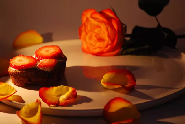 Начало работы с фуд-фотографией