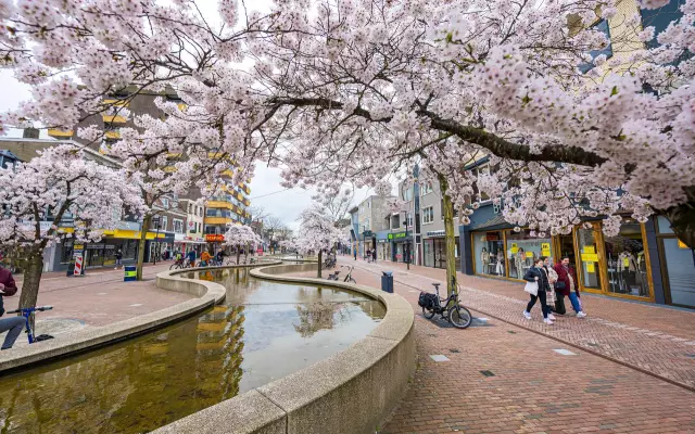 PSA фотографов: CrashPlan прекращает создание домашних резервных копий