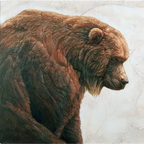 Палеогенетика: пещерные медведи