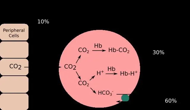 Гемоглобин по-другому