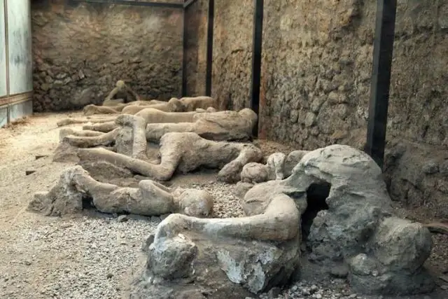 Археология: первые мегаполисы Европы