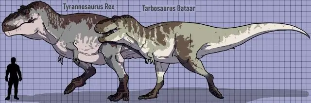 Палеонтология: сходная возрастная структура тираннозавров и млекопитающих