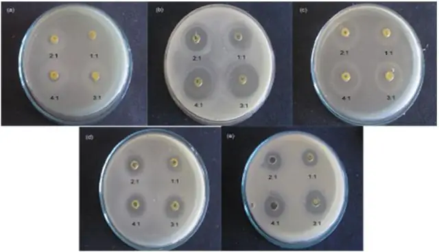 С бактериями против кадмия