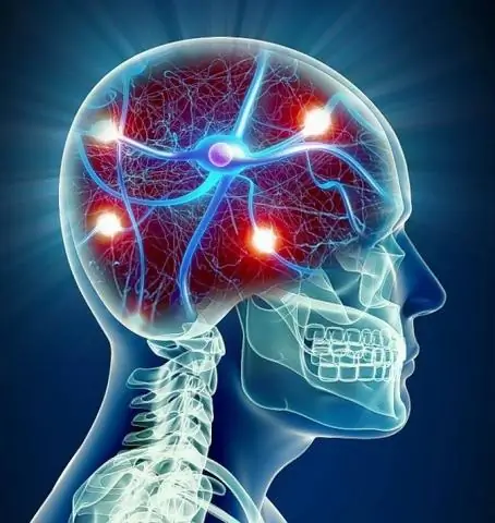 Задействуйте свой мозг обучением