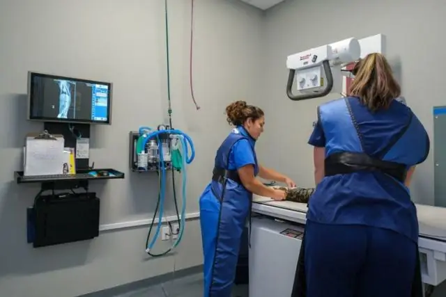 Внимательная диагностика в искусстве и медицине