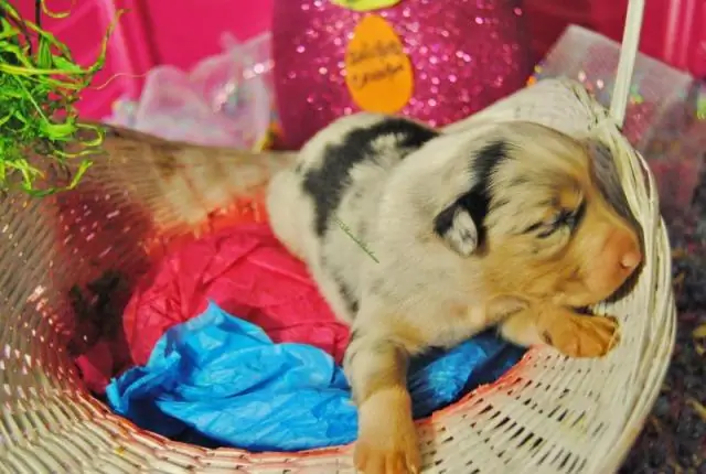 Человек лишь часть своего кузнеца удачи