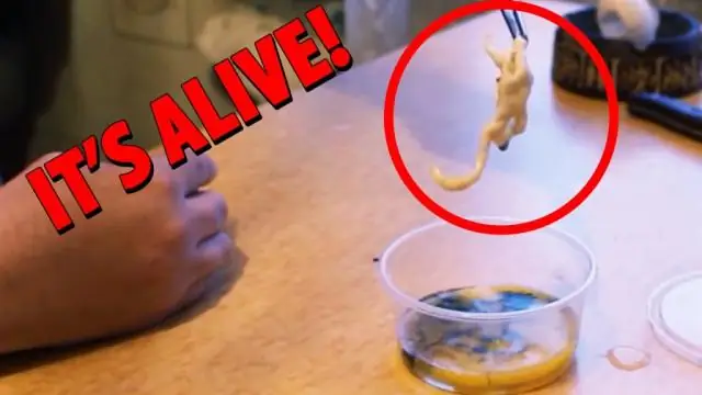 Честный Он ищет честного тебя