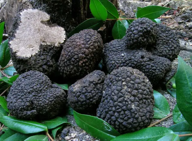 Как повысить эффективность вашего бизнеса с помощью мебели