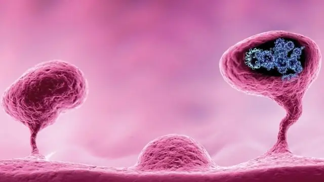 Раковые клетки обнаруживаются за считанные секунды с помощью «умного скальпеля»