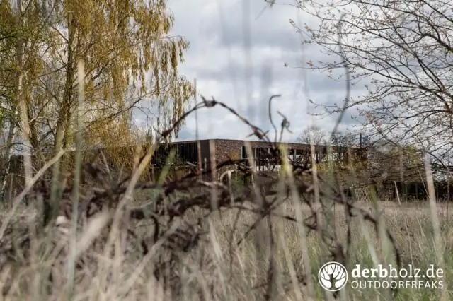 Бывшие советские заводы по производству биологического оружия по-прежнему представляют угрозу, несмотря на перевод на мирные исследования, говорит исследователь из Корнелла