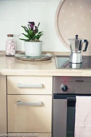 Тропическая «сбежавшая оранжерея» дает представление о Венере