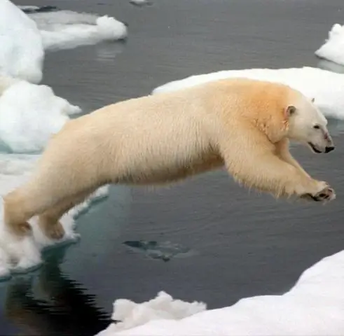 Система Сатурна движима льдом, говорит исследователь из Университета Колорадо