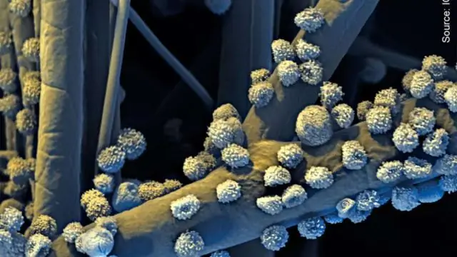 Крошечные частицы могут решить проблему на миллиард долларов