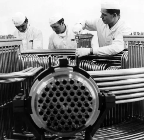 Follow The Energy: новая технология позволяет ученым отслеживать передачу молекулярной энергии при фотосинтезе