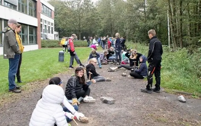 Узнаем, как атипичная пневмония поражает свою добычу