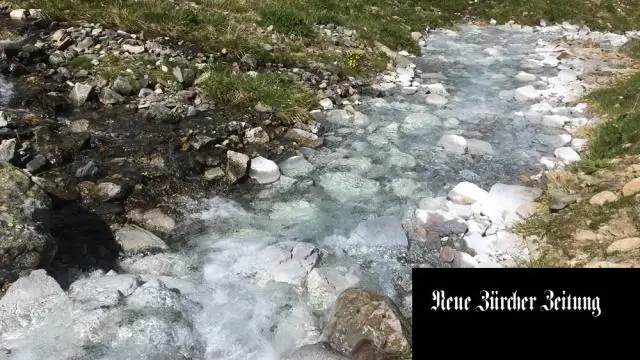 Исследователи разгадывают тайну того, как ядерные поры дублируются до деления клеток