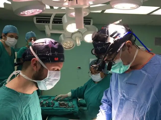 Профессор продвигает научную ставку в самое сердце мифов о призраках и вампирах