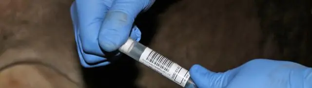 Компьютерная графика переходит от молока к медицине