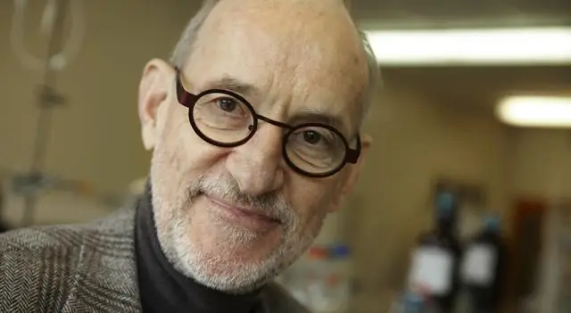 Как наноупаковка и наноформы для лекарств должны быть похожи на нарезанные тыквы