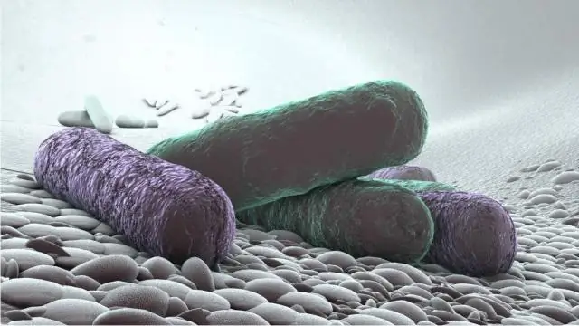 Новый квантовый эффект, квантовый эффект спинового Холла, непосредственно наблюдаемый и объясненный