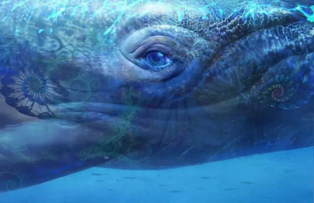 Звездная семья в переполненном и жестоком районе оказалась на удивление нормальной