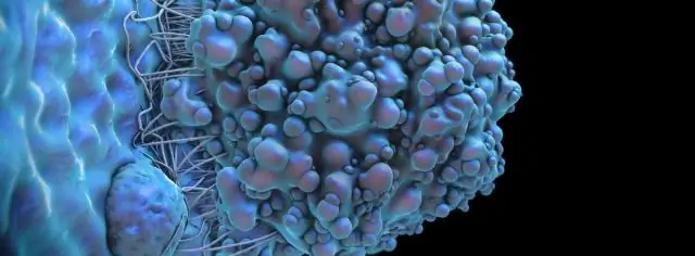 Новая методика измерения поможет в борьбе с раком