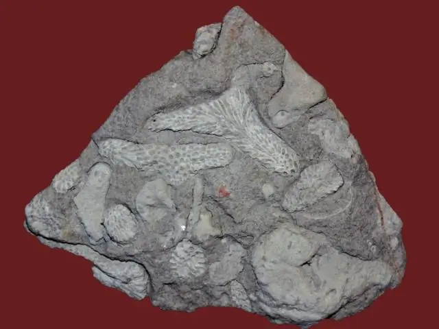 Ученые определили ключевой материал с помощью сонара, закрывая пробел в структурной тайне