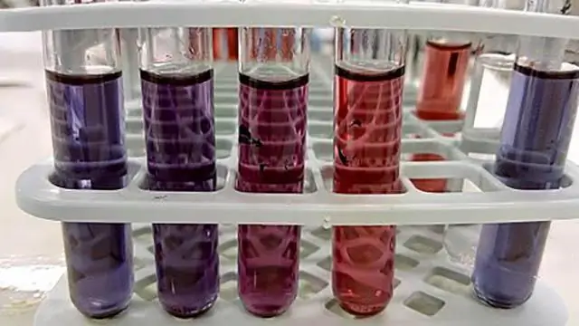 Химики намеренно превращают золото в фиолетовый: изменение цвета подтверждает новый способ получения энергии из солнечного света