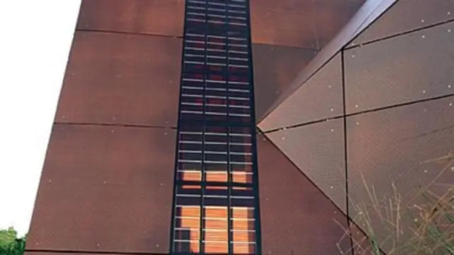 Солнечные элементы нового поколения: улавливание солнечного света с помощью микробусин