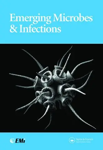 Бактериальные инфекции: о человеке и микробах Барри Маршалл
