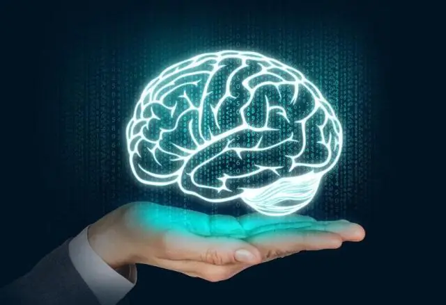 Исследование мозга: область мозга, ответственная за плацебо