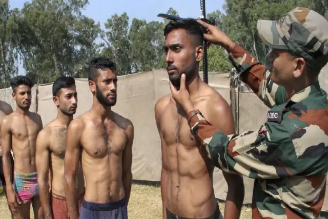 Настоящая история марокканских коз, лазающих по деревьям