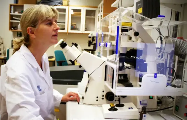 Новый способ лечения нейронных повреждений с помощью детского мозга