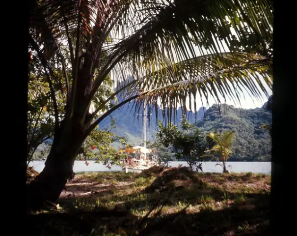 На северо-западе Тихого океана температура земли достигла рекордного уровня в 63°C