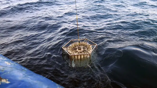 Гибель звезд проливает свет на происхождение углерода на Земле