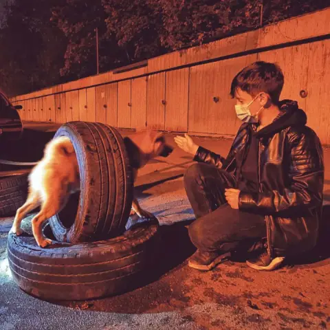 Об этих космических путешествиях