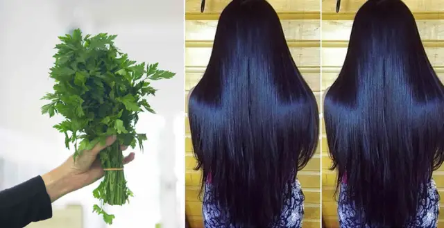 При выращивании говядины используется в десять раз больше ресурсов, чем при выращивании птицы, молочных продуктов, яиц или свинины