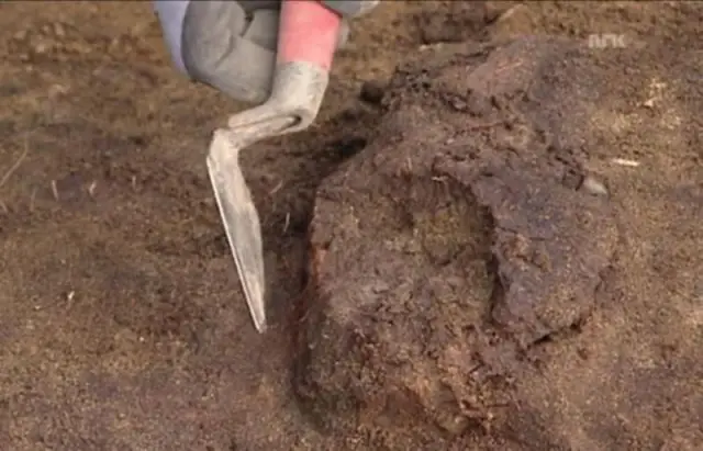 Археологи в Норвегии, возможно, нашли затонувший 700-летний корабль